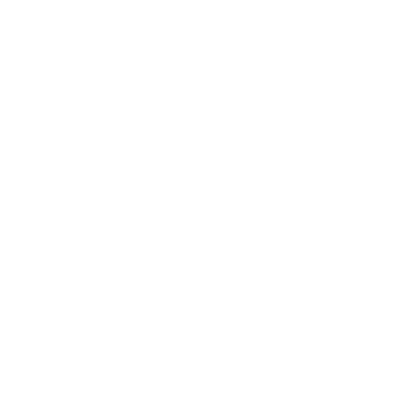 Prótesis Dentales